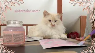ASMR painting with kitty 🎨 purring, whispers, brush sounds