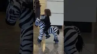 Zebra Ride, Cute Baby #shorts#arlene#trending#viral#amazing#fun#zebrarides#cutegirl#funrides#wow