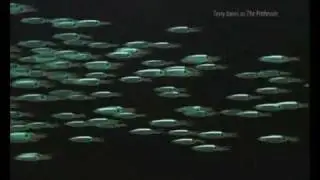 help im A Fish part 1