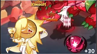 Vampire Cookie Max Lvl Magic Candy Test Damage