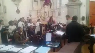 Flos Carmeli