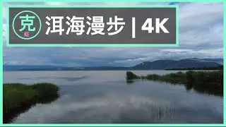 Erhai Lake Ecological Corridor 4K Walk | 云南大理洱海漫步