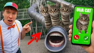 CURSE OIIAOIIA Cat SLIDE EATER story about transformation OIIA CAT MEME