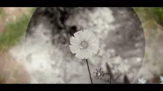 Tum Sun - Jasmines (Official Video)