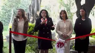 Armon&iacute;a, Ikebana y Nochebuena | Ikebana International CDMX Cap. 228
