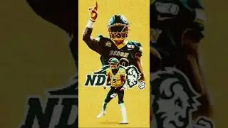 NDSU!!!!!! 🤘Go Bison