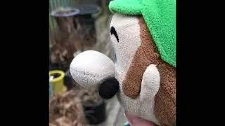 M.K.E.B.B 102 : Luigi&rsquo;s kidney stone!