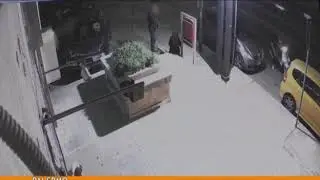 I Carabinieri diffondono il video dell'aggressione a Giovanni Caruso [TgMed 13/11/2018]