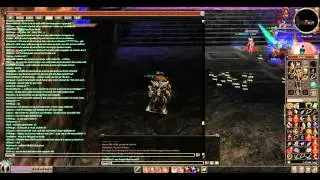 Metin2 Praios Vijay  Rufchat Fun mit Meteorman,Zeus und Gnomma