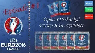 UEFA Euro 2016 Panini Stickers! Open BOX and Packs [Панини - Евро  2016, открытие бокса и пакетиков]