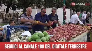 ACQUAVIVA DELLE FONTI  SAGRA CIPOLLA ROSSA