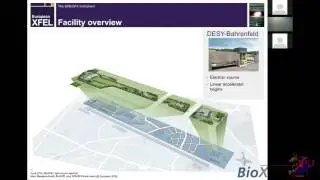 DESY, European XFEL Lightsource