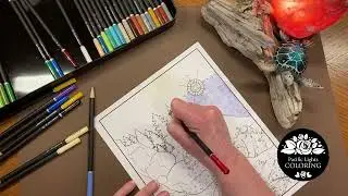 Relax & Color, The Lighthouses of Washington State - Cape Disappointment - Heron Color Reel - Part 1
