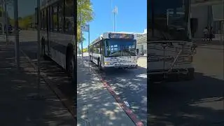 AC Transit #1617 on Route 232 at Union City BART