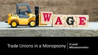Trade Unions in a Monopsony Labour Market