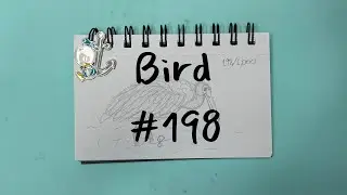 Draw 1,000 Birds With Me Roseate Spoonbill 8 of 10