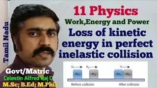 loss of|kinetic energy|in perfect |inelastic collision|Unit 4|11 Physics|Tamil|sky physics