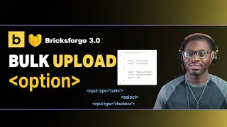 Bulk Add Options to a Bricksforge Pro Form Select Field