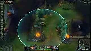 Akali bug