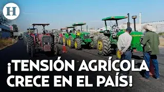 &iexcl;Agricultores desesperados! Exigen apoyo real ante el desplome del precio del ma&iacute;z