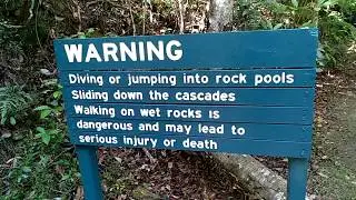 Currumbin Valley  Yowie Bigfoot Hairyman Search (2 of 5)