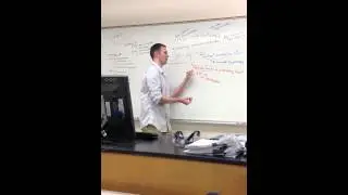 Exothermic  Dissolution of CaCl2