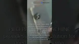 Automatic Hffs Horizontal Flow Wrapping Machine Commercial Popsicle Packing Machine WZ-220