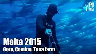 Freediving Malta Gozo Comino Tuna Farm -  2015 - GoPro