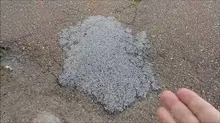 Six-sided hexagonal structure found in nature