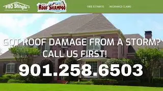 Need a Roof Shampoo?