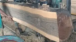 proses penggergajian kayu jati kampung besar bahan kusen 7*14 di sawmill.indonesian teak sawing