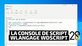 Replay WINDEV TOUR 28, la console de script WLangage WDSCRIPT