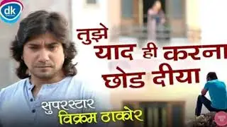 तुझे याद ही करना छोड दीया