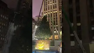 IRL New York Walk By Night / Rockefeller Center Christmas Tree 🎄🫰🏽🌌🌃