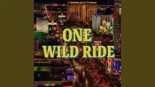 One Wild Ride