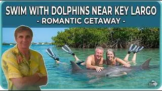 Key Largo Area Swim with the Dolphins Video