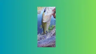 #Nature #Fishing #Stress Free