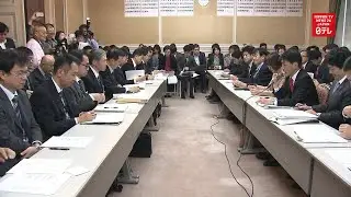 PM Abe's sakura party under fire