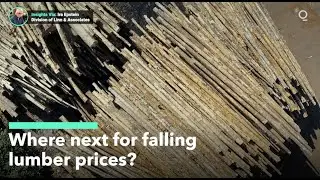 Where Next for Falling Lumber Prices?