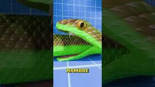 Serpiente se come su cola