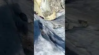 Glacier fall! They were ok! Follow for more #climbing