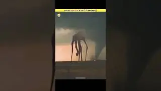 Mysterious Animals Last Photos 😰