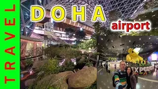 2024 Qatar Airways, DOHA Airport, Al Maha Lounge, Forrest inside Terminal C