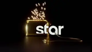 STAR Ident #4 (2017-2021)