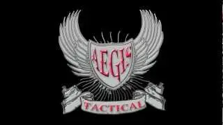 Aegis Video Intro