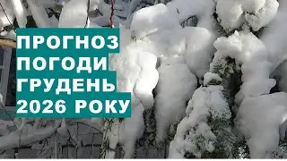 Прогноз погоди на Грудень 2026 року. Новий Рік зі снігом та морозом...