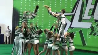 Legacy Xtreme Showcase 2018 - Royal Bees