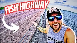 ((HIGHWAY FISHING!!!)) Roadside Lake For BIG Aggressive Fish ((UNEXPECTED CATCH.....))