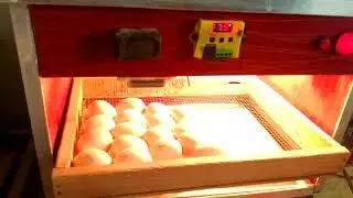 How to use incubator machine ||andon se bacche nikalne wali machine || automatic hatching machine