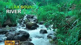 Calm River Flow Sound 🌊 Natural Water Ambience for Sleep, Study, Meditation